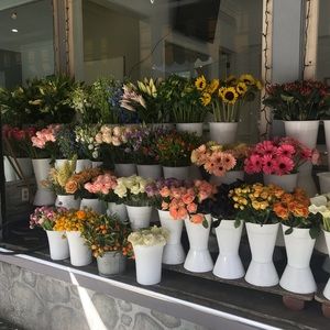 Meet your Posher, Emma